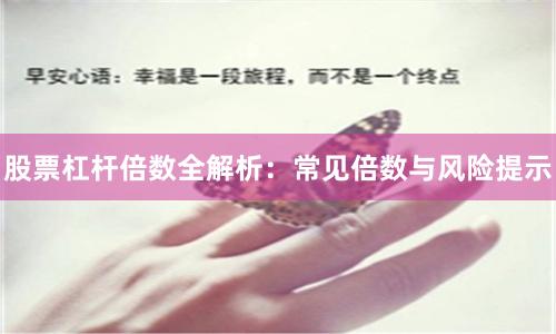 股票杠杆倍数全解析：常见倍数与风险提示